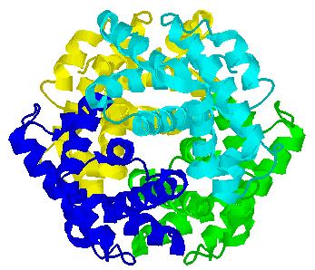 Quaternary Structure Not all proteins have a quaternary structure A composite of multiple poly-peptide