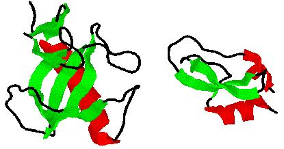 Protein structure Many proteins are a mix of alpha helicies and beta sheets.