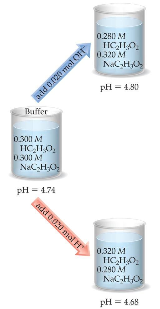Addition of Strong Acid or Base to a Buffer 1. Determine how the neutralization reaction affects the amounts of the weak acid and its conjugate base in solution. 2.