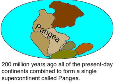 270 million Pangaea What do we call the large land mass that all continents created 270