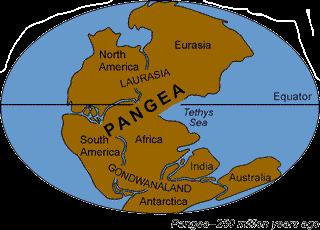 His hypothesis proposed that the continent s had once been joined as a