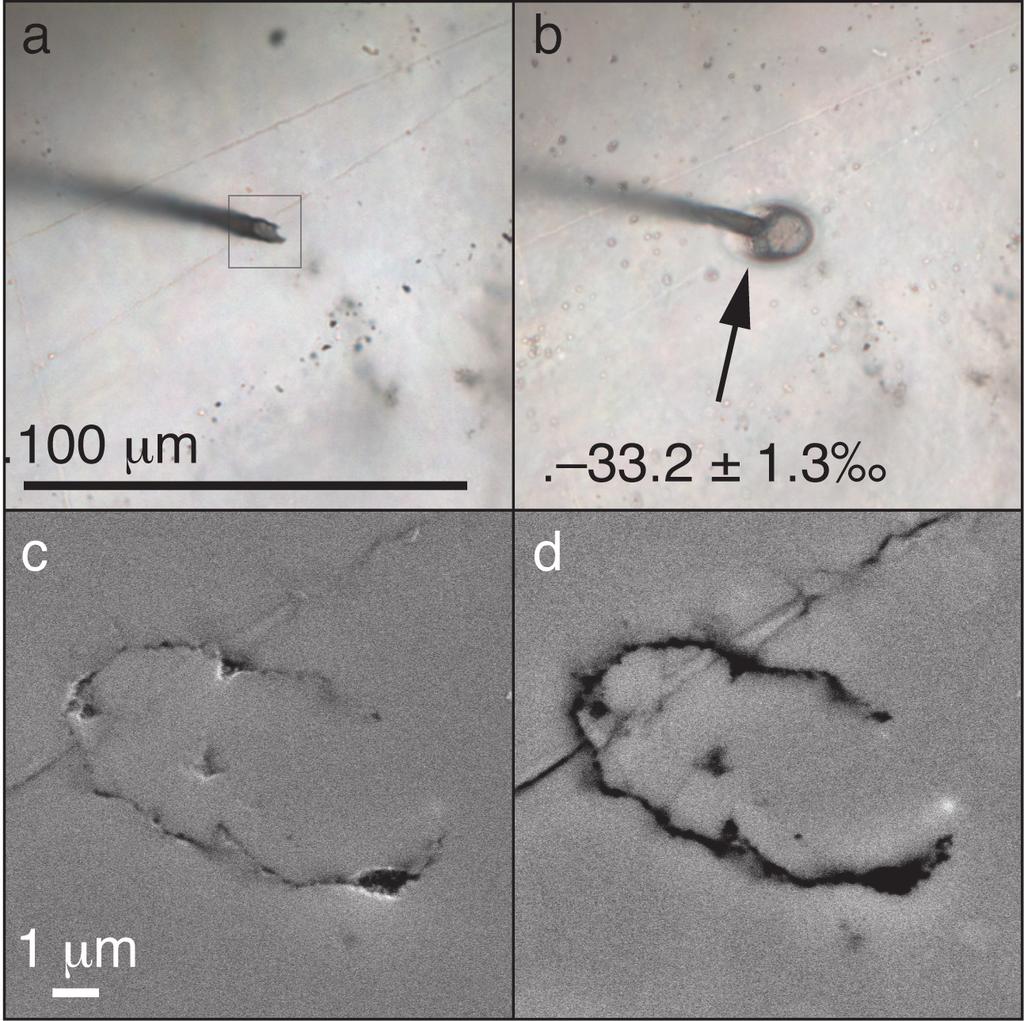 Example publication figure showing transmitted light (a, b), secondary electron (c), and backscattered electron (d) images of representative target (2a).