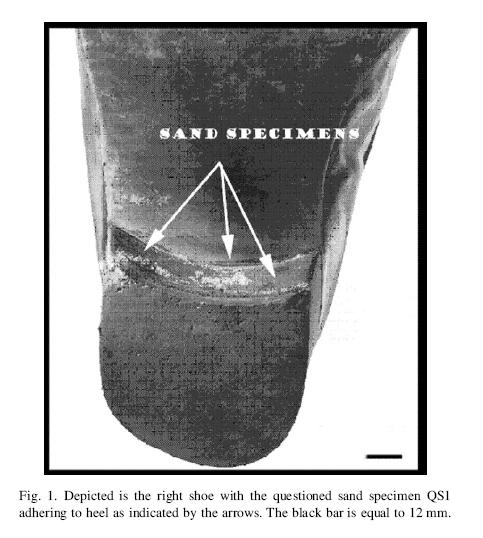 Case Study of Soil Found on a Shoe Guidelines for optical microscopy