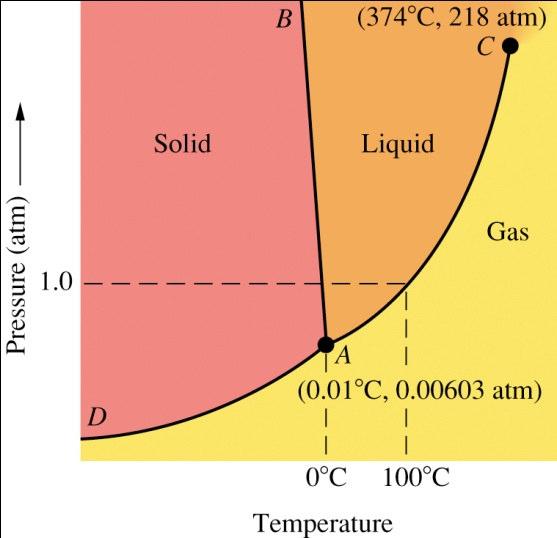 Phase Diagrams Solid liquid and gaseous states of H 2 O exist under different temperatures and