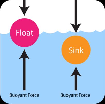 Principle of Fluids Fluids = liquid and gas Buoyancy = fluids push up