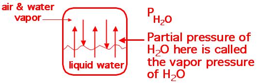 2. Vapor Pressure = (vp) pressure of gas molecules above surface of the liquid when equilibrium exists be