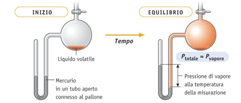 At liquid-vapour equilibrium the equilibrium vapour pressure is measured. liquid vapour Ini?