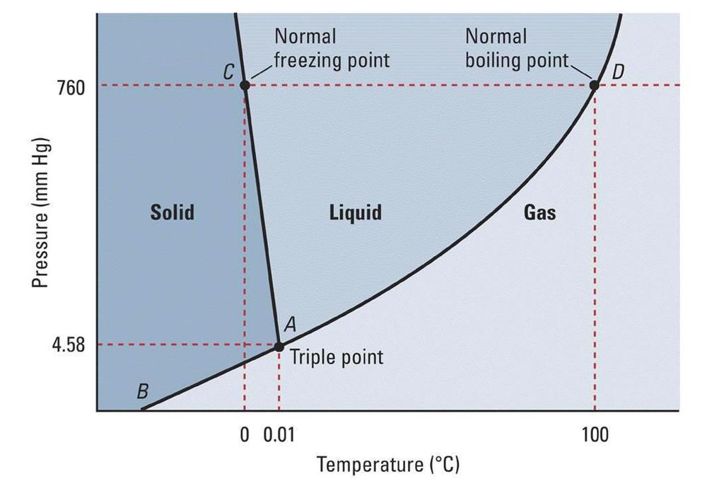 Phase diagrams A phase diagram shows what phase a substance will be in at a