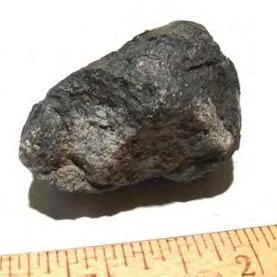 The first of several recovered fragments recovered by Lisa Weber in her Novato