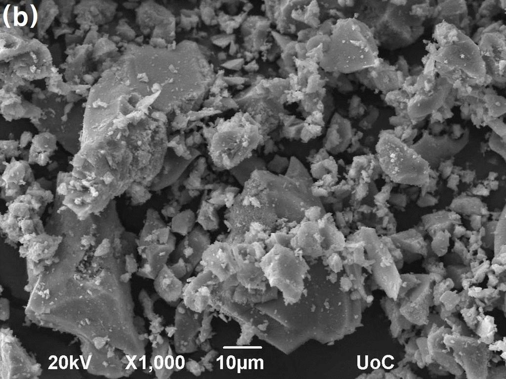 (Color online) SEM images of Mn-, Co- and Mn/Co- doped TiO2 in concentration of 0.1 wt%.