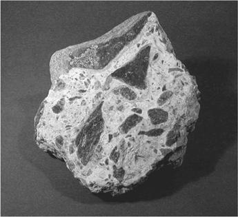 Sand-sized fragments Called sandstones Quartz is