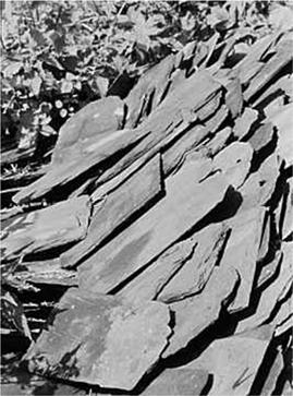 gneiss Foliated slate 4: Metamorphic Rocks -- Slate can turn into schist with greater