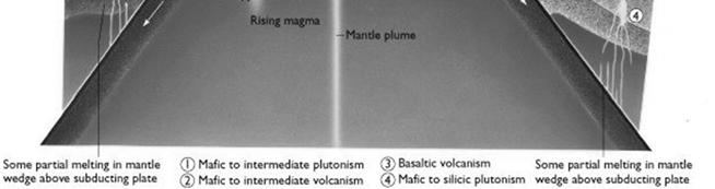 » Some of the magma formed rises to the surface through the continental crust and produces volcanoes.