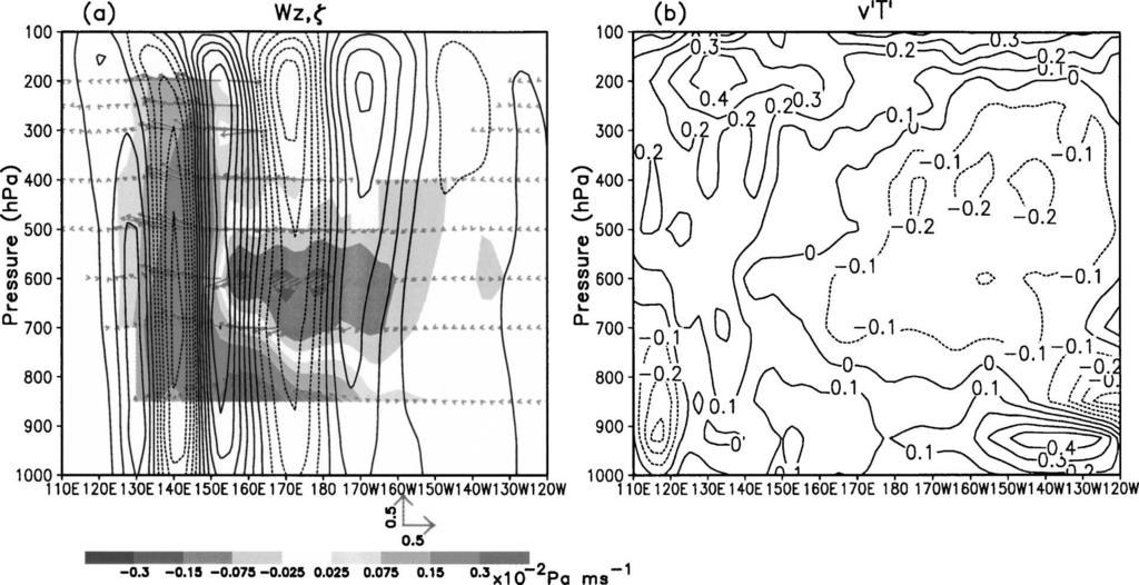 JUNE 2006 T A M A N D L I 1639 FIG. 9. (a) Vertical cross sections of the wave-activity vector (arrows; see lower right of left panel, with horizontal scale for 0.5 m 2 s 2 and vertical scale for 0.