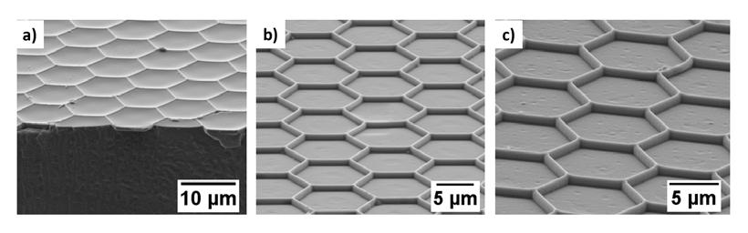 CHAPTER 6. DEVELOPMENT OF NANOPATTERNING TECHNIQUES negative polarity (lines) (Figure 6.5b). The first resist used was micro resist GmbH mr-nil 6000E. Figure 6.