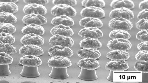 22: SEM images of fully metallic nickel surfaces fabricated by the up-plating process. The original mask consisted in an array of cylindrical holes made by photolithography.