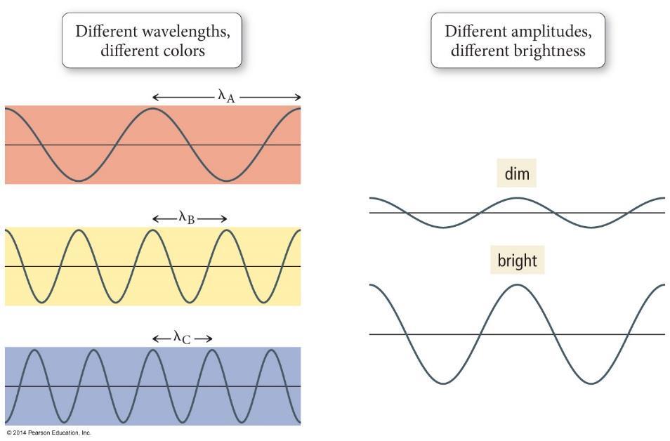 Wavelength is measured in units such as meters, micrometers or nanometers. Wavelength and amplitude are independent properties of light.