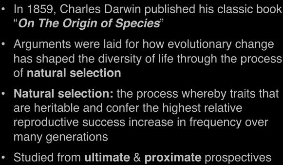 how evolutionary change has shaped the diversity of life through the process of natural selection!