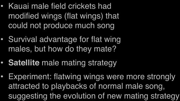 modified wings (flat wings) that could not produce much song" Survival advantage for flat wing males, but