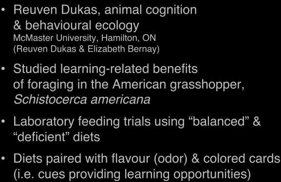 Reuven Dukas, animal cognition & behavioural ecology McMaster University,