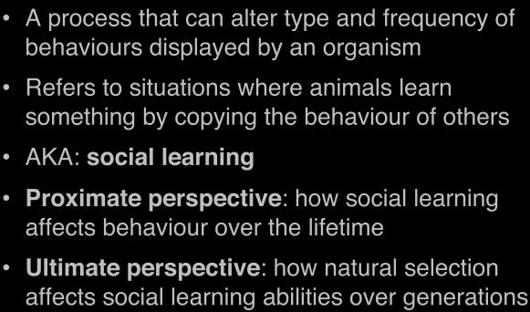 Proximate perspective: how social learning