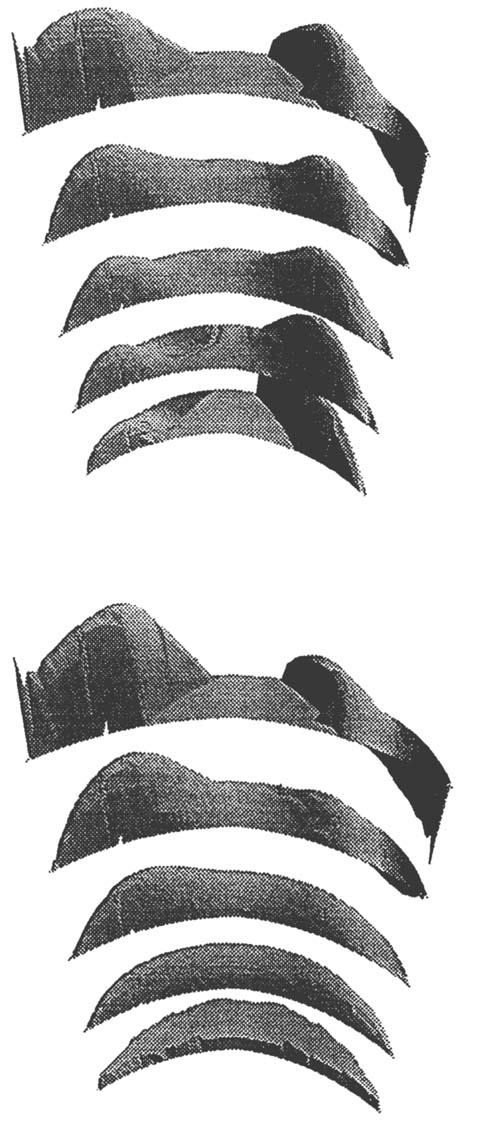 D. J. van der Wal, et a[. (25 mm) is the radius of the screw. The kneading elements have a width of 14 mm. There are several possibilities to position a second "paddle" behind the first paddle.