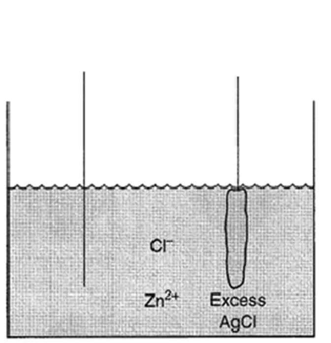 Typical electrochemical cells