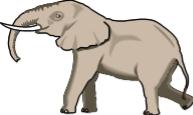 Two Part Names Linnaeus simplified the naming of living things by giving each species a two part scientific name First part is the genus Second part is the species example; Asian elephant Elephas