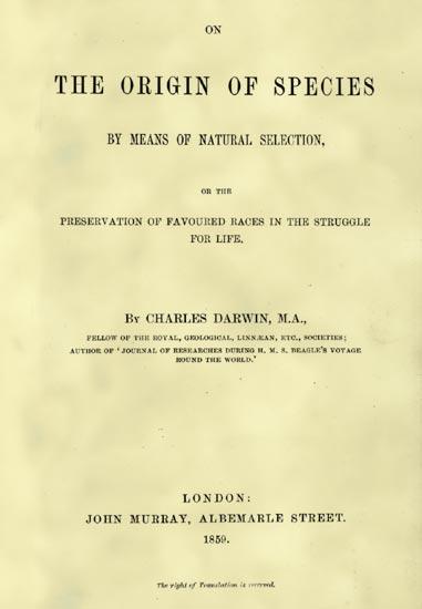 !! (1858) Darwin quickly finished his work and published The Origin of Species the next year Wallace was a great admirer of Darwin and agreed