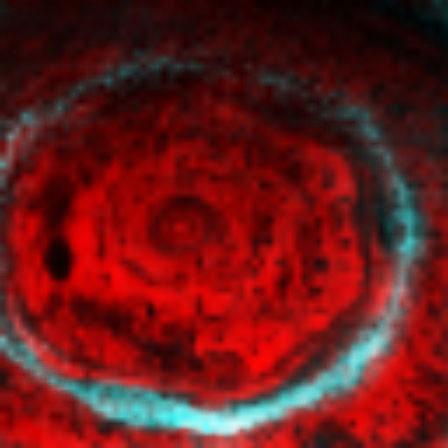 Saturn's Aurora Aurora has hexagon feature Deep into cloud layer Unusually strong polar circulation Still somewhat of a mystery Red