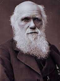 Charles Darwin Father of modern evolution *Darwin disagreed with Lamarck!