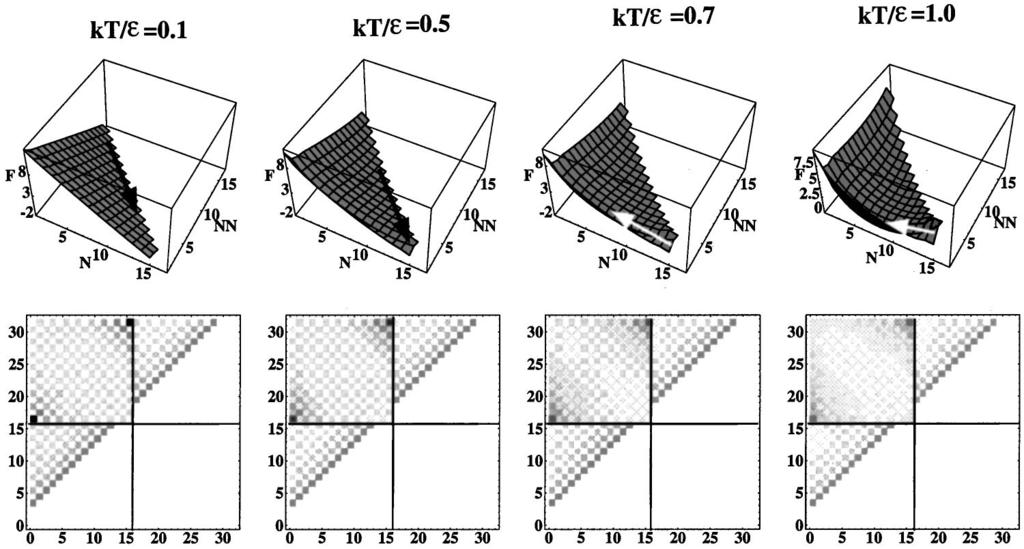 4262 J. Chem. Phys., Vol. 114, No. 9, 1 March 2001 W. Zhang and S-J Chen FIG. 11. The free energy landscape and contact probability at different temperatures for 18 of the two homopolymer complex.