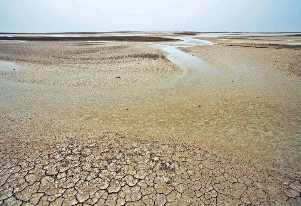 Plate 2.3 Wide Sabkha areas in Abu Ali. Supratidal Flats Tidal flats occupy 30%-40% of embayments of the coastline (Basson, et al., 1977).
