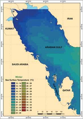 ovalis. A progressive increase in the seagrass cover towards the north has been observed (Price and Coles, 1992).