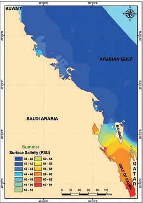 Temperature and Salinity Stresses in the Arabian Gulf The geographical location of the Arabian Gulf between large, arid land masses (Arabia and Asia) and bordering high mountain chains of Iran make