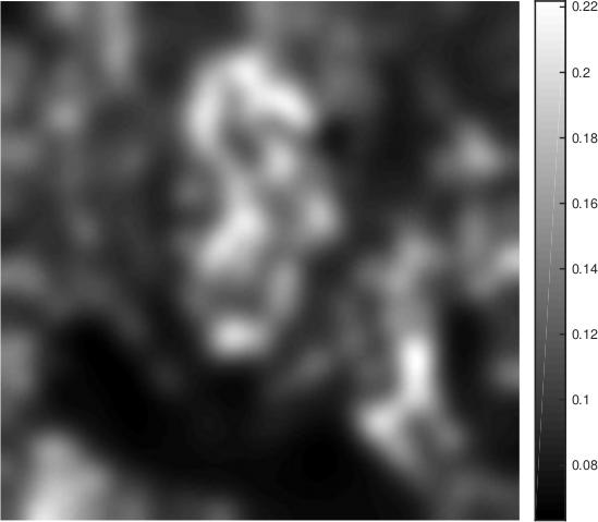 J. Imaging 2018, 4, 12 20 of 34 (a) (b) Figure 6. Spatially varying regularization parameter generated by the respective platv-algorithm.