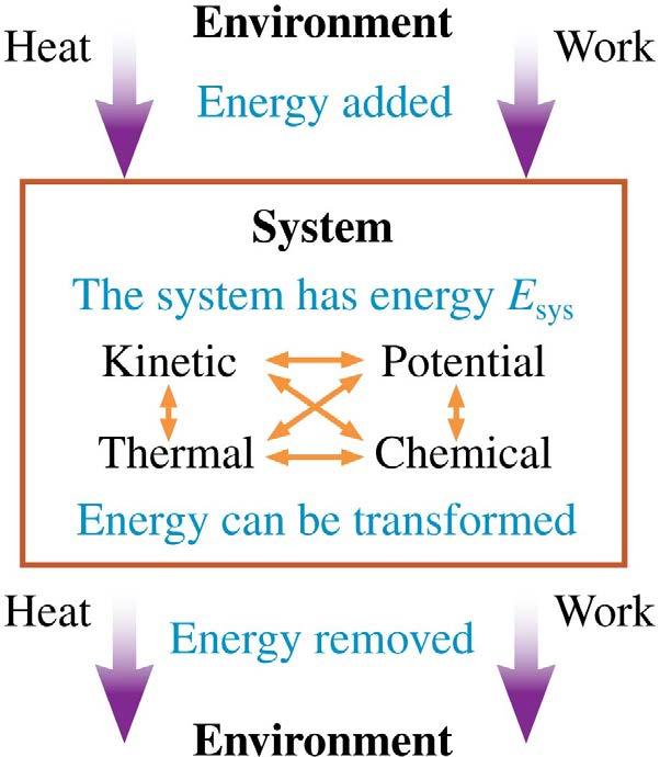 The System and the Environment Within a system, energy can be transformed from one type to another.