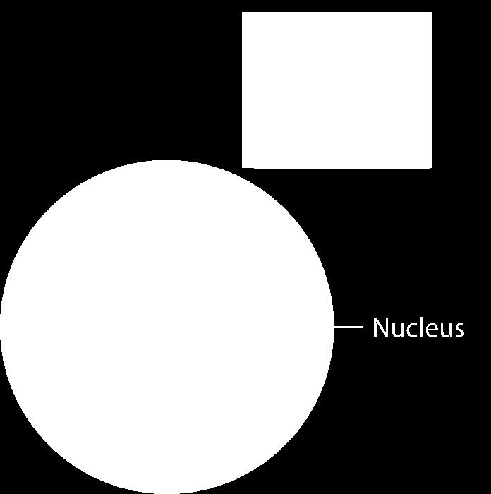 around the nucleus An element is a substance that cannot