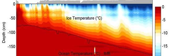Ice Mass Balance & Ocean Buoy Coordination Enhanced