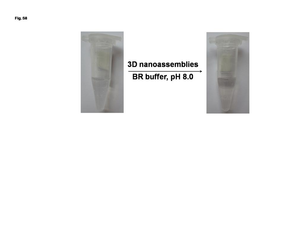Fig. S10 Photographic image of vials containing TMB in BR buffer (ph 8.