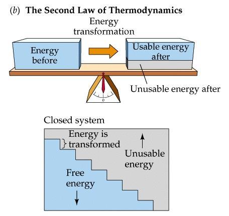 The second law of thermodynamics If energy cannot be destroyed, why can t organisms simply recycle their energy over and over again?