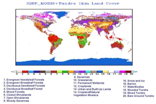 Figure 5. Global 1-km modified IGBP-MODIS land-cover data set (left), and 0.144-deg AVHRR/NDVI-based weekly GVF data set (right). 7.