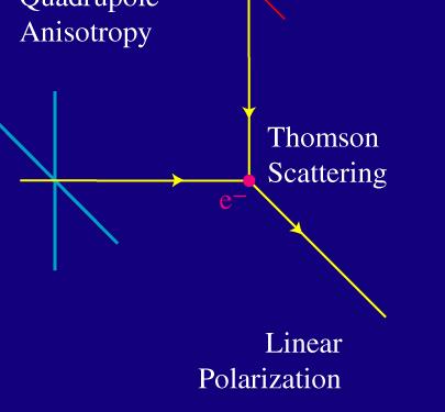 Thomson scattering of randomly polarized radiation: If incident radiation is isotropic: scattered radiation in randomly polarized If incident radiation has a dipole anisotropy:
