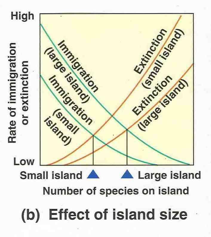 Small Island = less immigration and
