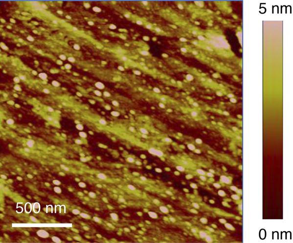 Fig. S. Atomic force microscope image of bare glass substrate with a root-mean-squared roughness of 0.698 nm. Fig. S3. X-ray diffraction of ALD TiO.