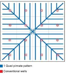 113 Fig. D-1: The single pinnate drilling pattern 33 Fig.