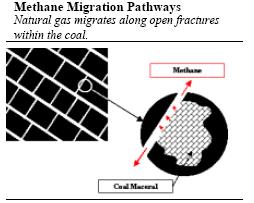 pathways through coal, 15