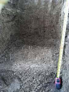 Soil Pipe Erosion Processes Vertical Macropores: Increased from
