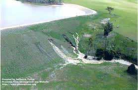 Soil Pipeflow & Internal Erosion Impacts Rapid flow through