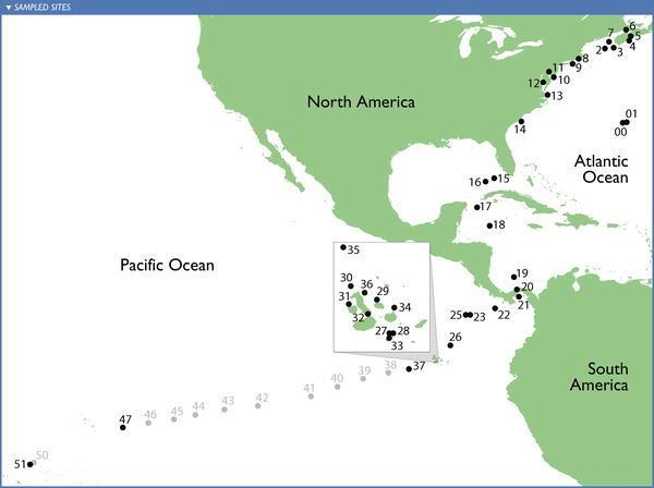 Metagenomic sampling of the Oceans Global Ocean Survey (GOS) sampling sites Hawaii Ocean Time Series ~200Mbp of shotgun library Deep, 4000m depth
